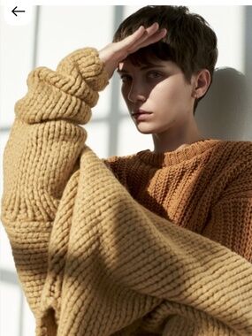 BABAA babaà Jumper No28 in Honey No 28 Chunky Knit Eco Wool Rare Archived FW2017